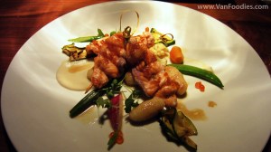 BC Wild Spring Salmon