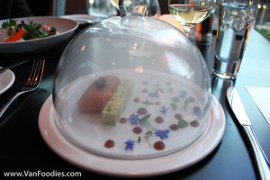 Salmon in a Smoky Dome