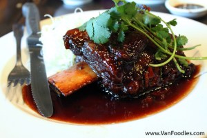 Beef Short Rib